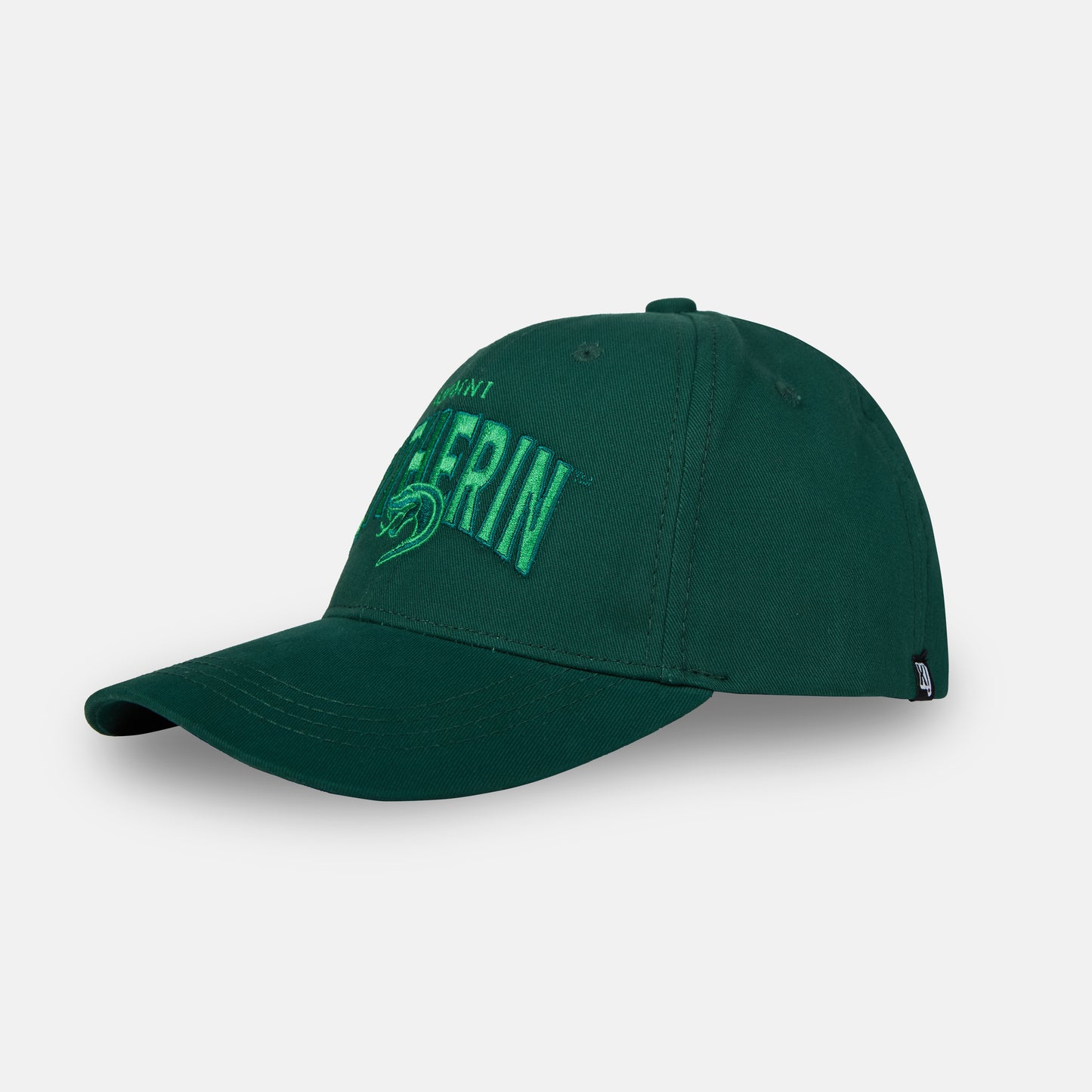 BZ Headwear Harry Potter Women's Baseball Cap